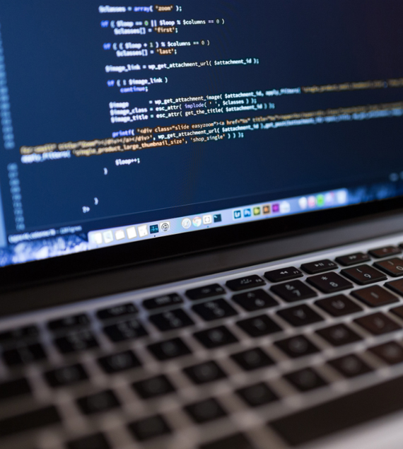 Web Development